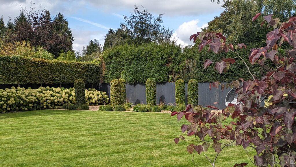 Evergreens and deciduous plants