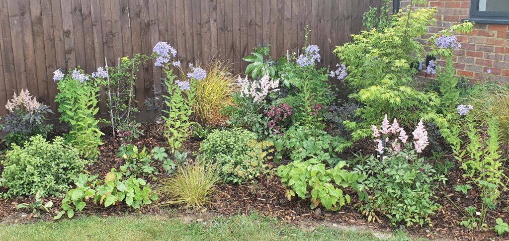 planted borders with pazazz